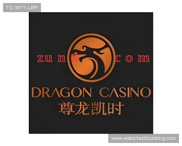 尊龙凯时公司安全保障措施详解，保障玩家账号信息与资金安全的实用建议