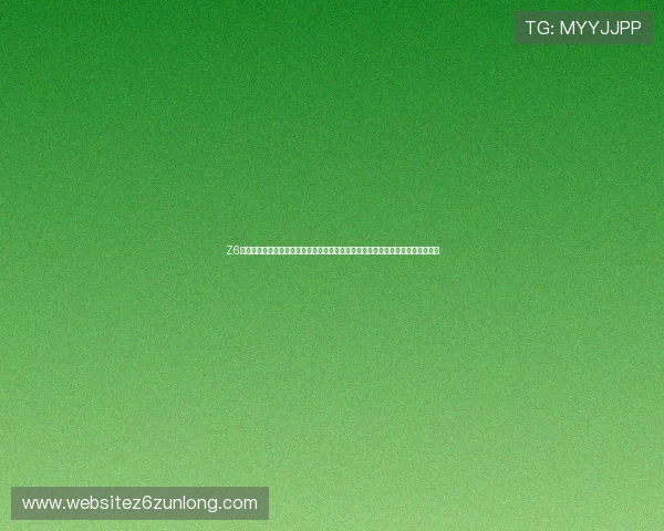 Z6尊龙现金开户打造安全可靠的世界杯竞猜环境，保障用户资金安全与个人信息隐私